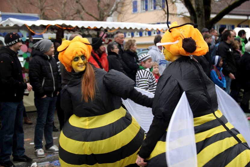Sarmenstorf Fasnachtsumzug 16.02.2014 (73)